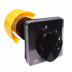 Interruptor tripolar 63 A